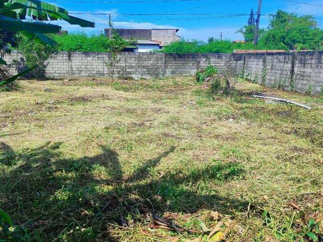 #926 - Terreno para Venda em Itanhaém - SP - 1