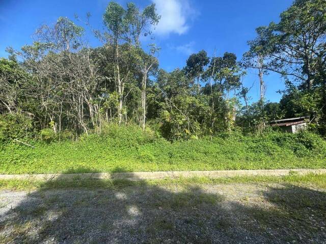 Terreno para Venda em Itanhaém - 2