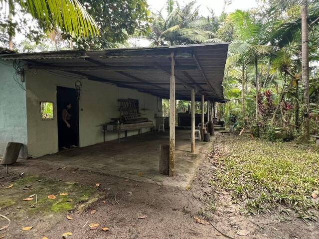 #960 - Chácara para Venda em Itanhaém - SP - 3