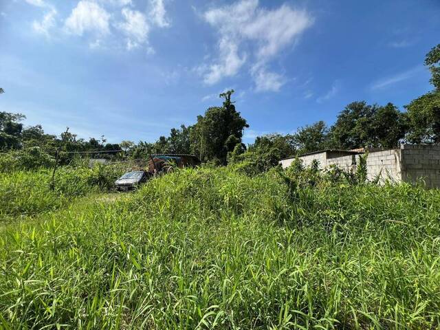 Terreno para Venda em Itanhaém - 2