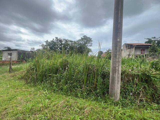 Terreno para Venda em Itanhaém - 2