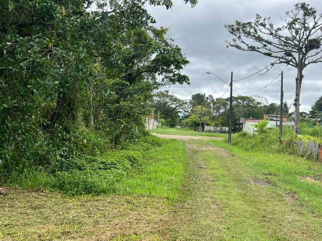 Terreno para Venda em Itanhaém - 3