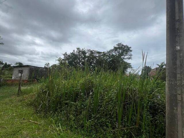 Terreno para Venda em Itanhaém - 4