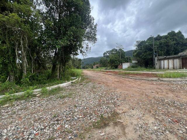 Terreno para Venda em Itanhaém - 5
