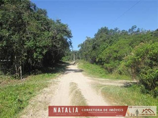 Terreno para Venda em Itanhaém - 2