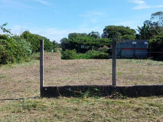 #1162 - Terreno para Venda em Peruíbe - SP - 3