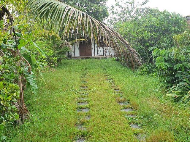 Casa para Venda em Itanhaém - 5