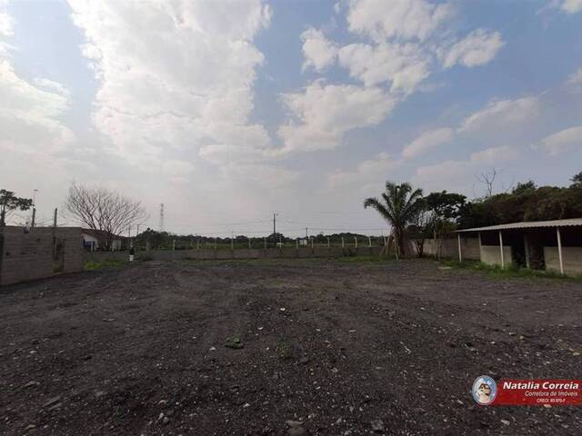 Terreno para Venda em Itanhaém - 4