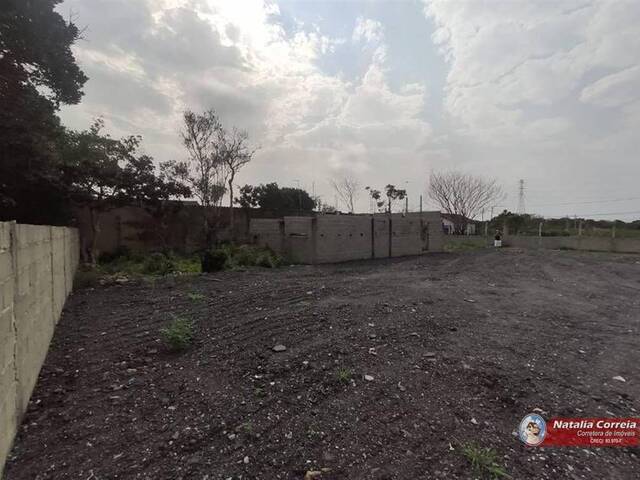 Terreno para Venda em Itanhaém - 5