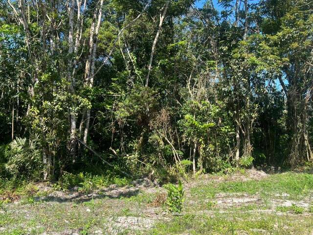 #1173 - Terreno para Venda em Itanhaém - SP - 1