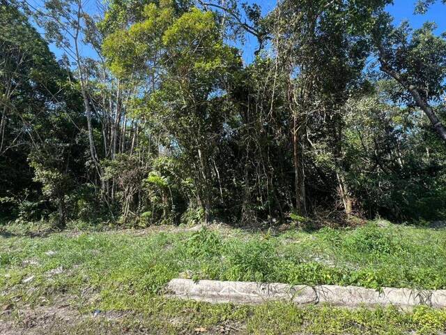 #1173 - Terreno para Venda em Itanhaém - SP - 2