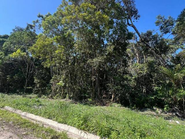 #1173 - Terreno para Venda em Itanhaém - SP - 3