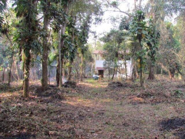 #1175 - Chácara para Venda em Itanhaém - SP - 1