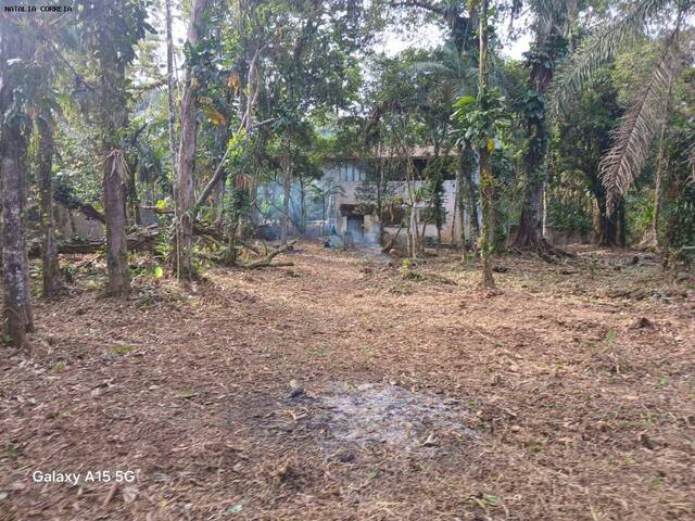 #1175 - Chácara para Venda em Itanhaém - SP - 3
