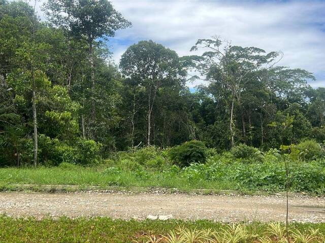 #1181 - Terreno para Venda em Itanhaém - SP - 1