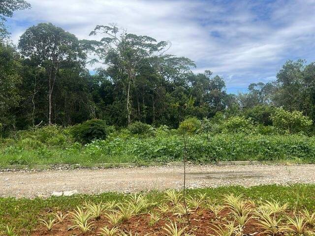 #1181 - Terreno para Venda em Itanhaém - SP - 2