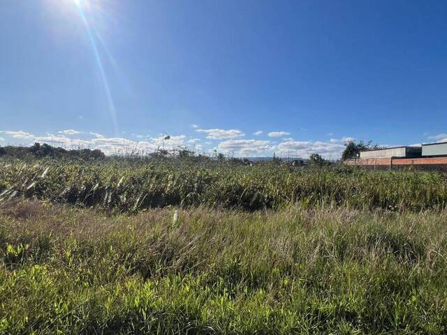 #1194 - Terreno para Venda em Itanhaém - SP - 2