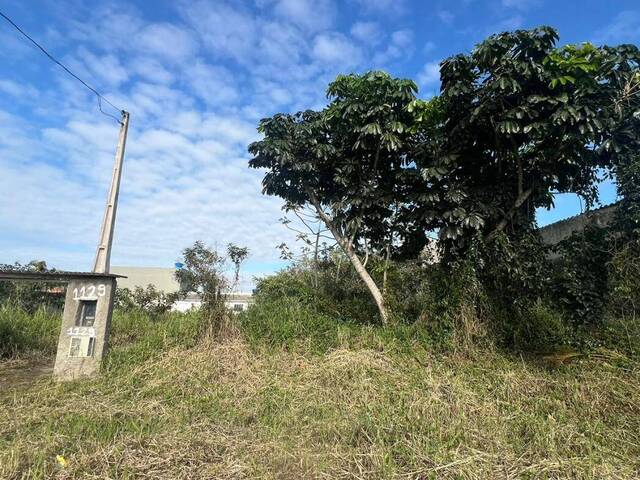 #1195 - Terreno para Venda em Itanhaém - SP - 1