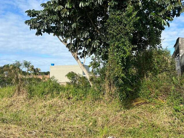 #1195 - Terreno para Venda em Itanhaém - SP - 2
