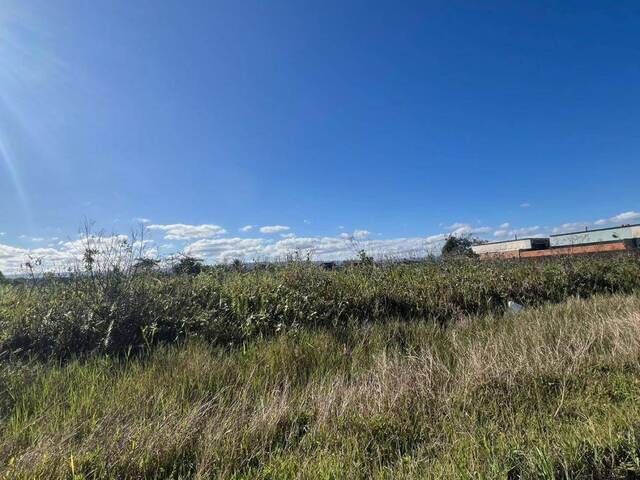 #1196 - Terreno para Venda em Itanhaém - SP - 1