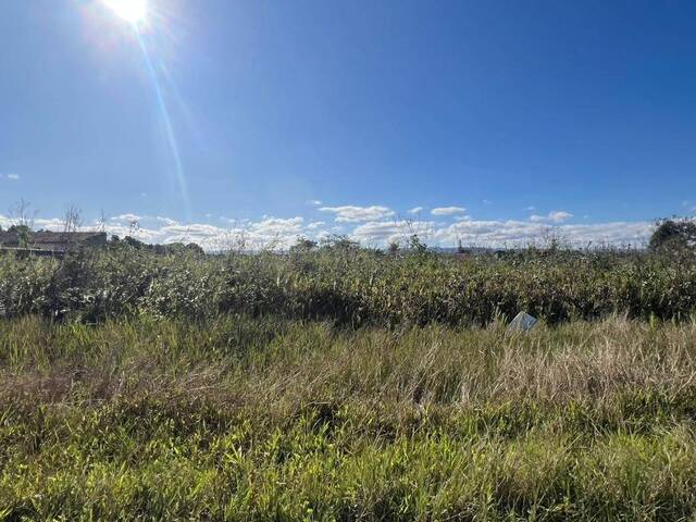 #1196 - Terreno para Venda em Itanhaém - SP - 2