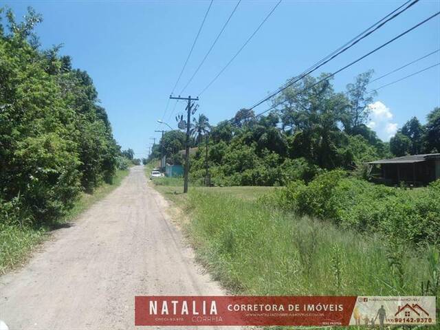Terreno para Venda em Itanhaém - 2