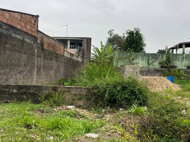 #1204 - Terreno para Venda em Itanhaém - SP - 2