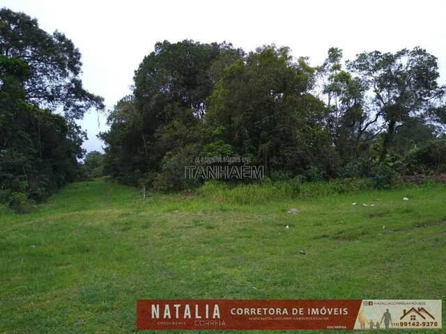 Terreno para Venda em Itanhaém - 3