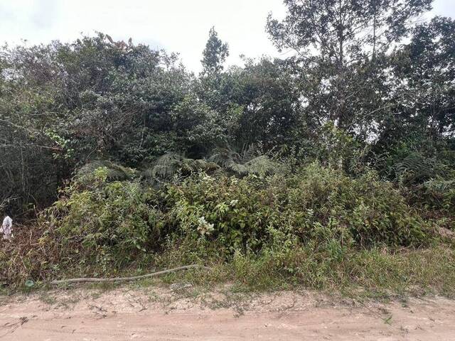 #1248 - Terreno para Venda em Itanhaém - SP - 1