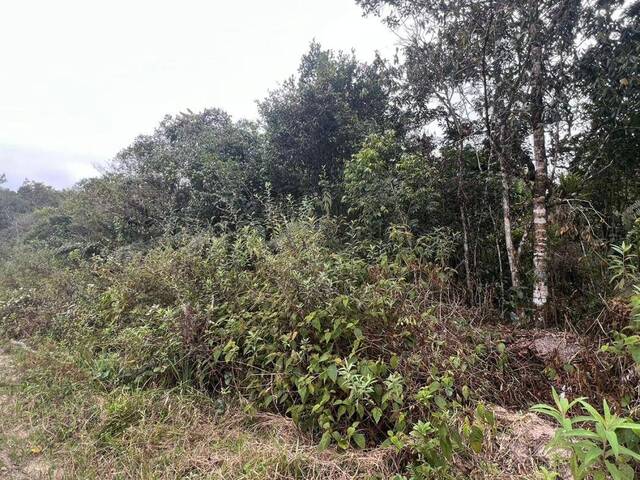 #1248 - Terreno para Venda em Itanhaém - SP - 3