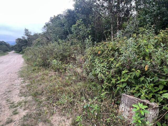Terreno para Venda em Itanhaém - 4