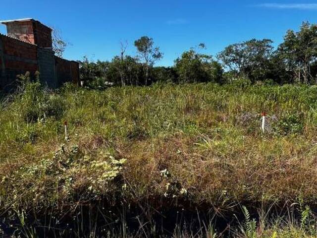#1278 - Terreno para Venda em Itanhaém - SP - 1
