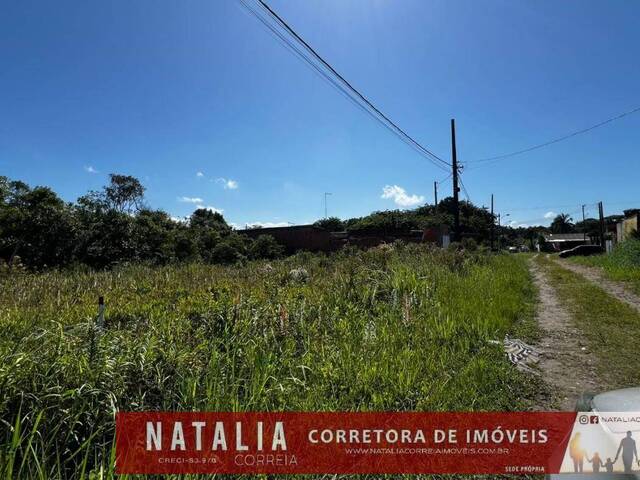 #1278 - Terreno para Venda em Itanhaém - SP - 2