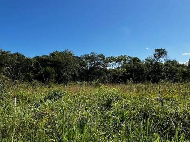 #1278 - Terreno para Venda em Itanhaém - SP - 3
