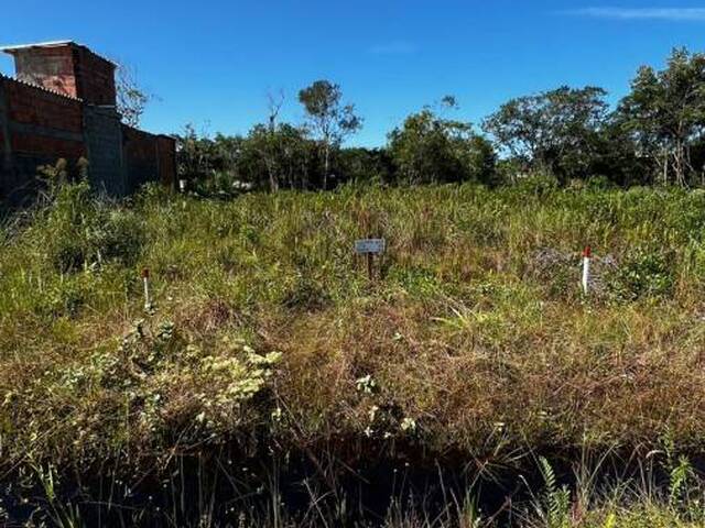 Terreno para Venda em Itanhaém - 4