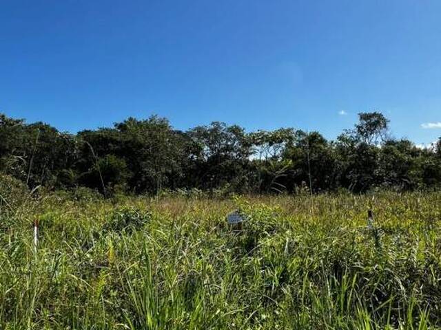 Terreno para Venda em Itanhaém - 5