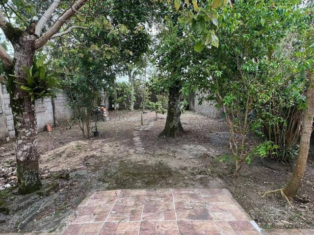 Casa para Venda em Itanhaém - 4