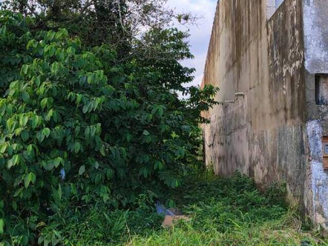 #1288 - Terreno para Venda em Itanhaém - SP - 1