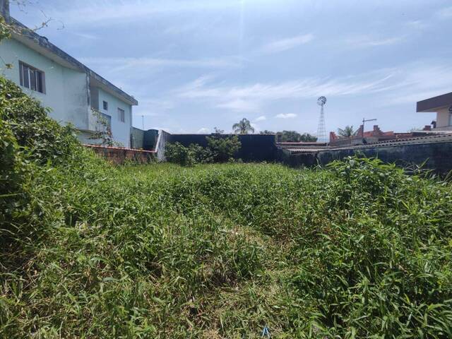 #1295 - Terreno para Venda em Itanhaém - SP - 2