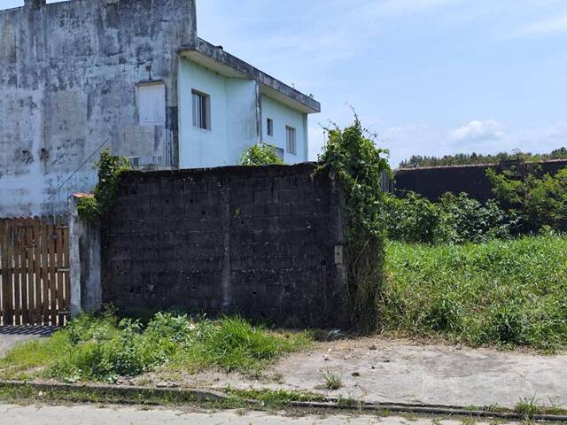 #1295 - Terreno para Venda em Itanhaém - SP - 3