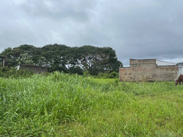 #1304 - Terreno para Venda em Itanhaém - SP - 1