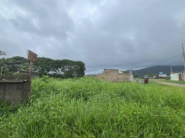 #1304 - Terreno para Venda em Itanhaém - SP - 2