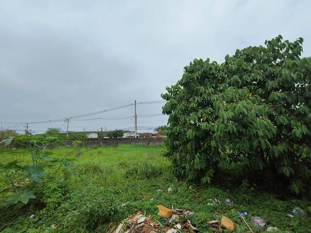 #1305 - Terreno para Venda em Itanhaém - SP - 2