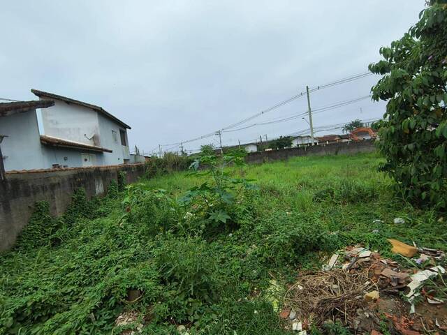 #1305 - Terreno para Venda em Itanhaém - SP - 3