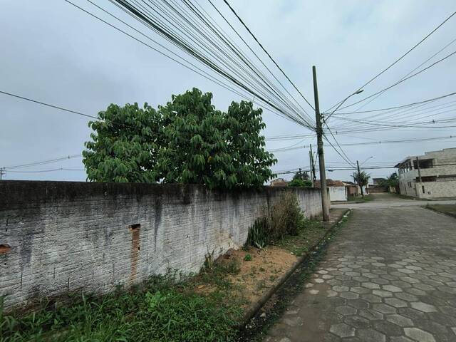 Terreno para Venda em Itanhaém - 4