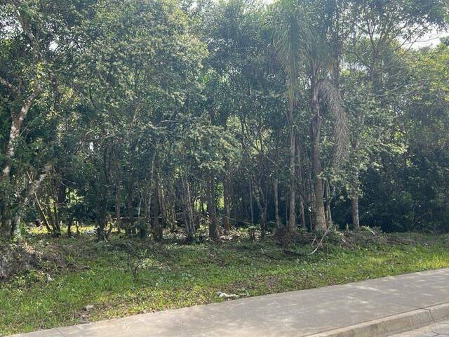 #1347 - Terreno para Venda em Itanhaém - SP - 1