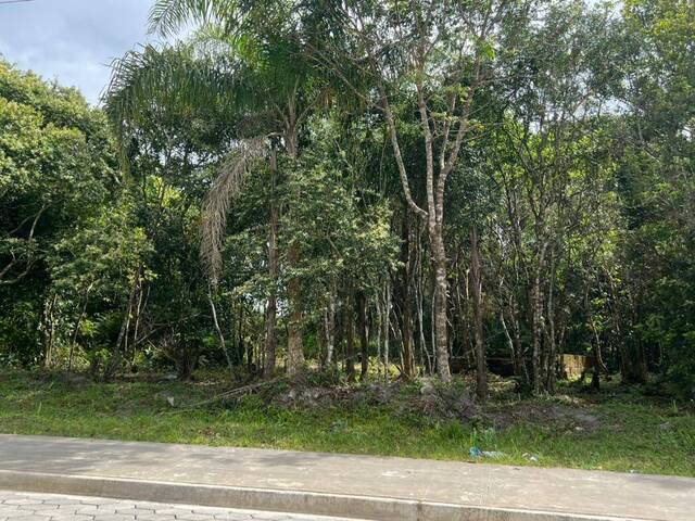 #1347 - Terreno para Venda em Itanhaém - SP - 2