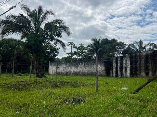 #1348 - Terreno para Venda em Itanhaém - SP - 3