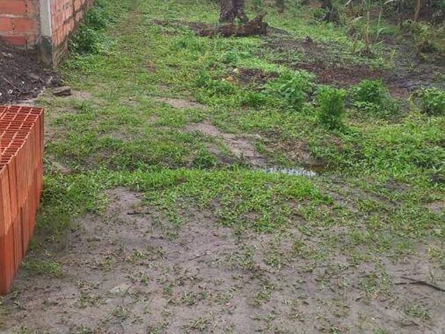 #1357 - Terreno para Venda em Itanhaém - SP - 3