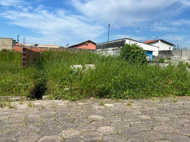 #1406 - Terreno para Venda em Itanhaém - SP - 1